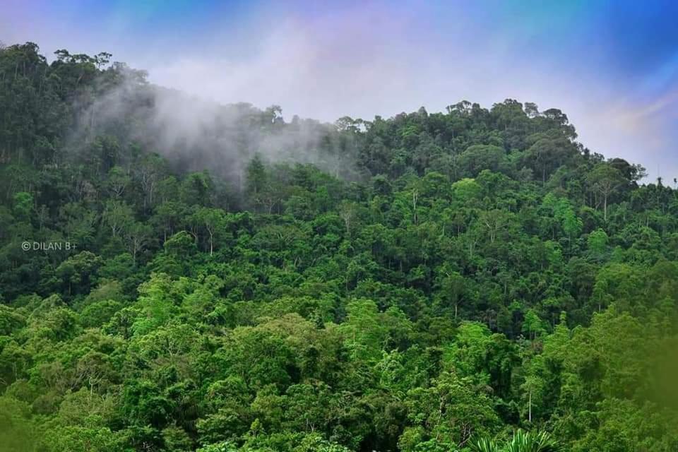 Sinharaja Forest Gate Deniyaya Exterior photo