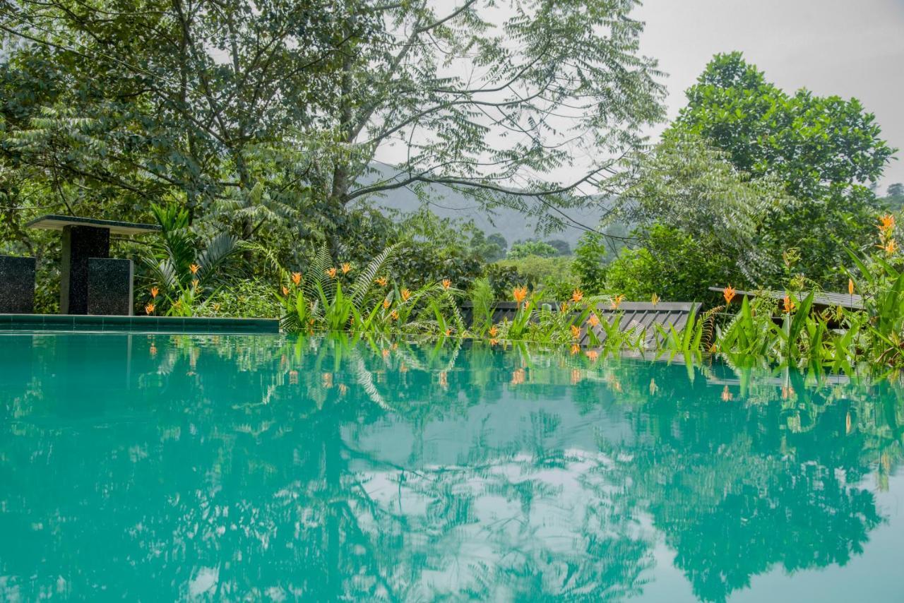 Sinharaja Forest Gate Deniyaya Exterior photo