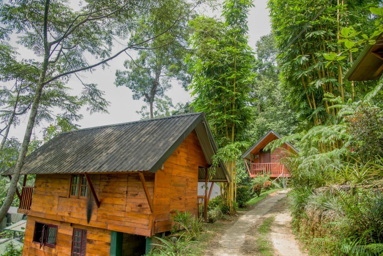 Sinharaja Forest Gate Deniyaya Exterior photo