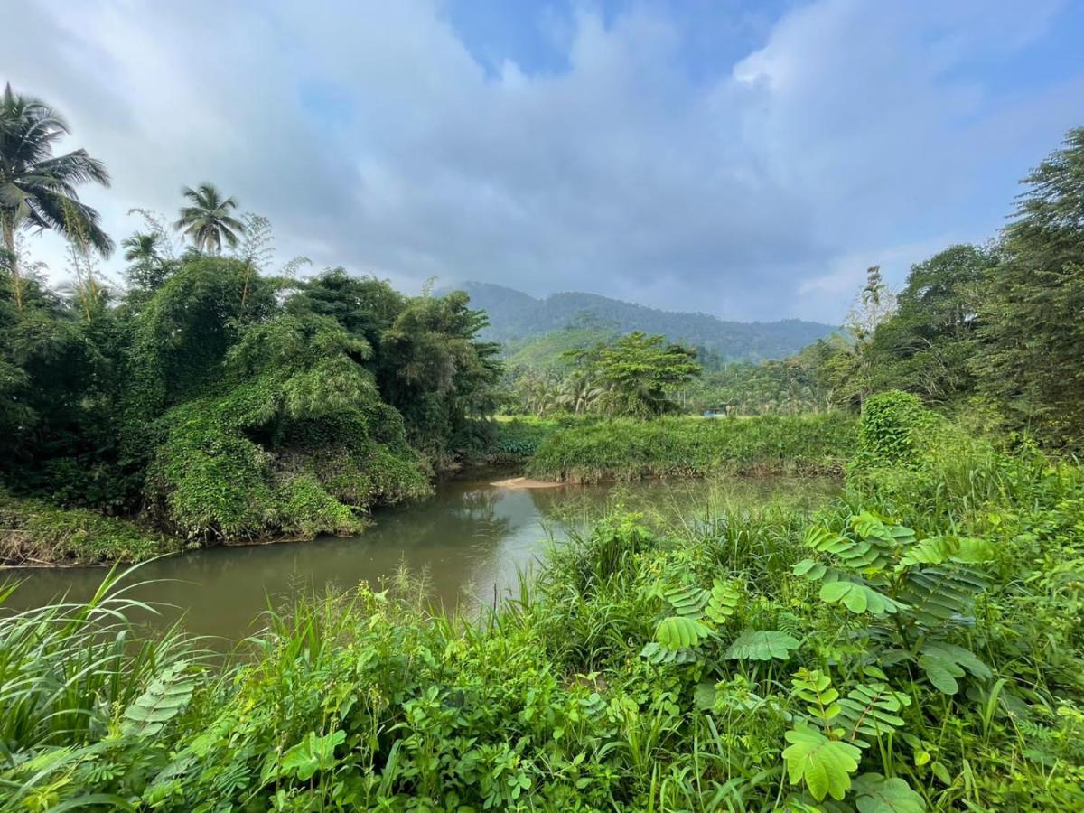 Sinharaja Forest Gate Deniyaya Exterior photo