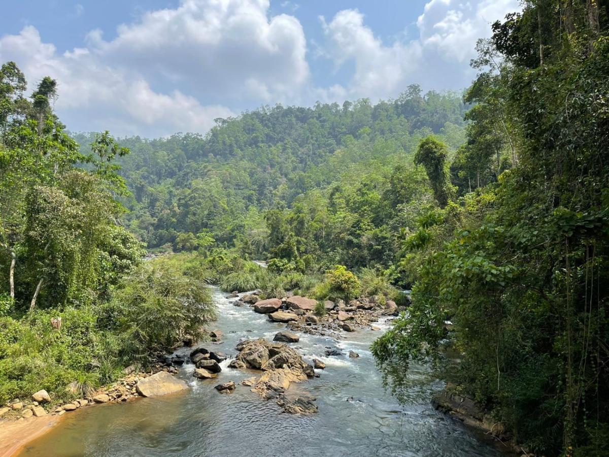 Sinharaja Forest Gate Deniyaya Exterior photo