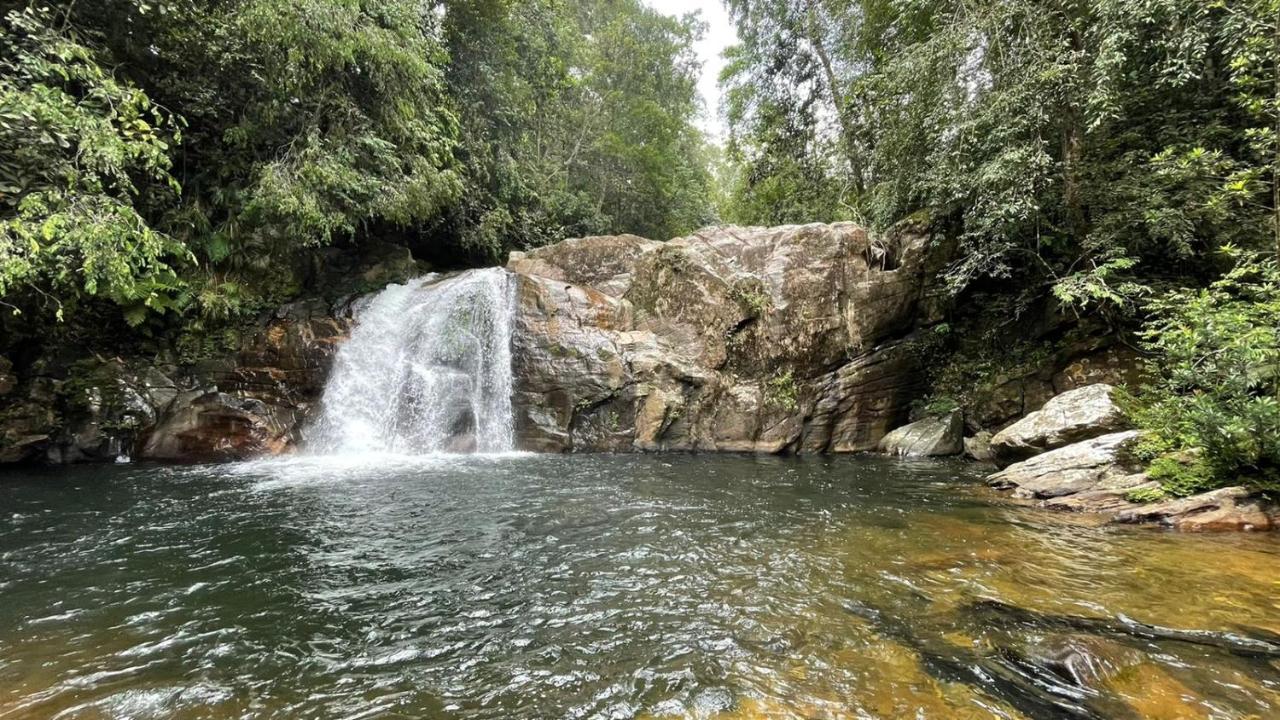 Sinharaja Forest Gate Deniyaya Exterior photo