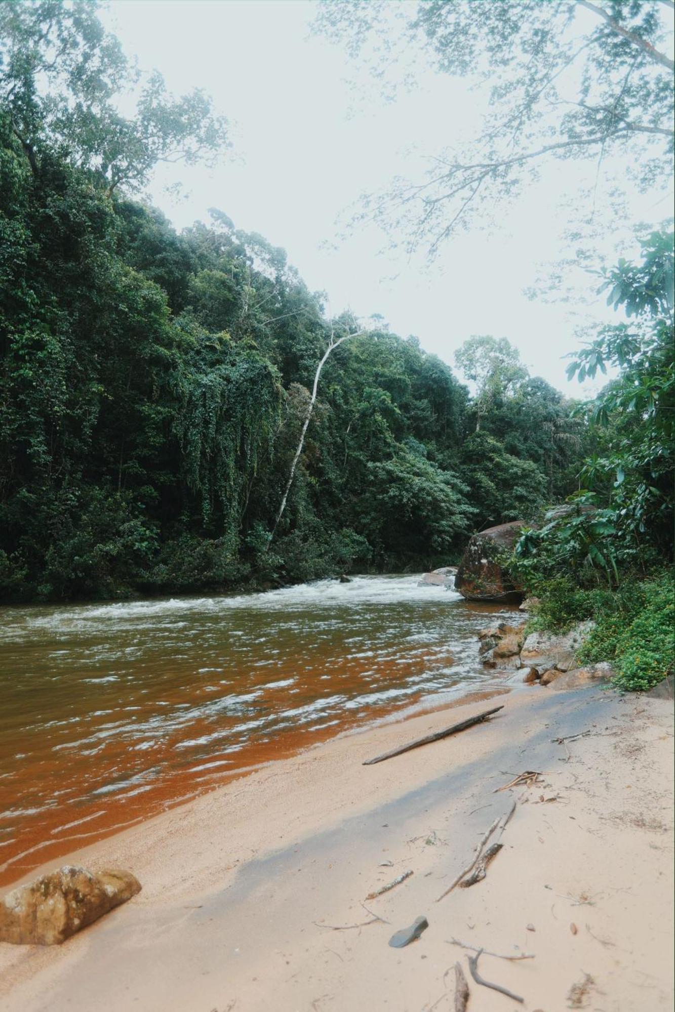 Sinharaja Forest Gate Deniyaya Exterior photo