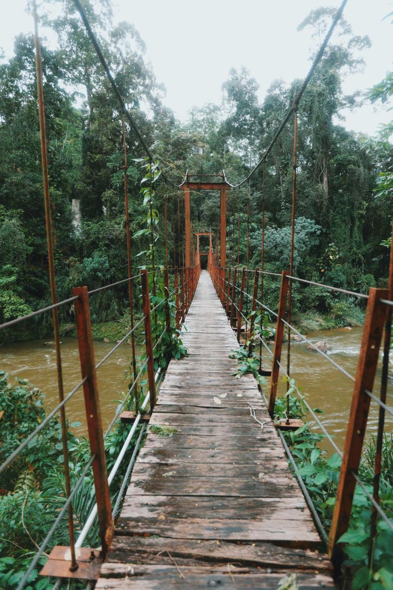 Sinharaja Forest Gate Deniyaya Exterior photo