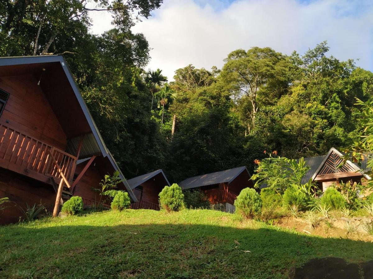 Sinharaja Forest Gate Deniyaya Exterior photo